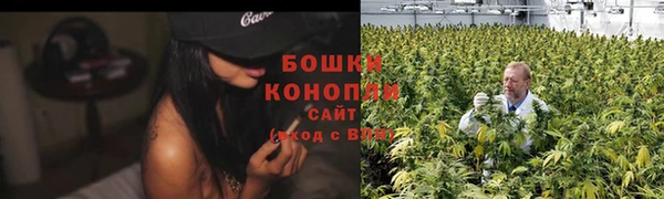 сатива Богданович