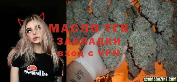 тгк Богородицк