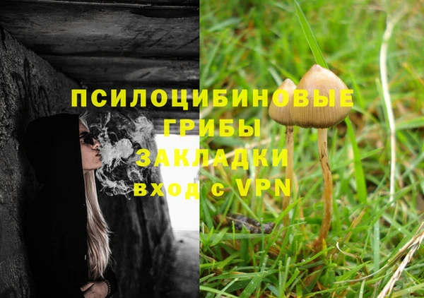 2c-b Бородино