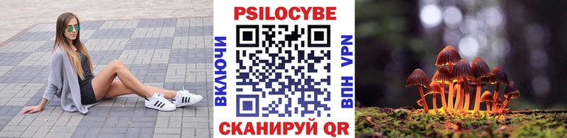 Галлюциногенные грибы мухоморы  ОМГ ОМГ ТОР  Томмот 