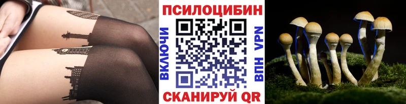 Псилоцибиновые грибы Psilocybe Томмот